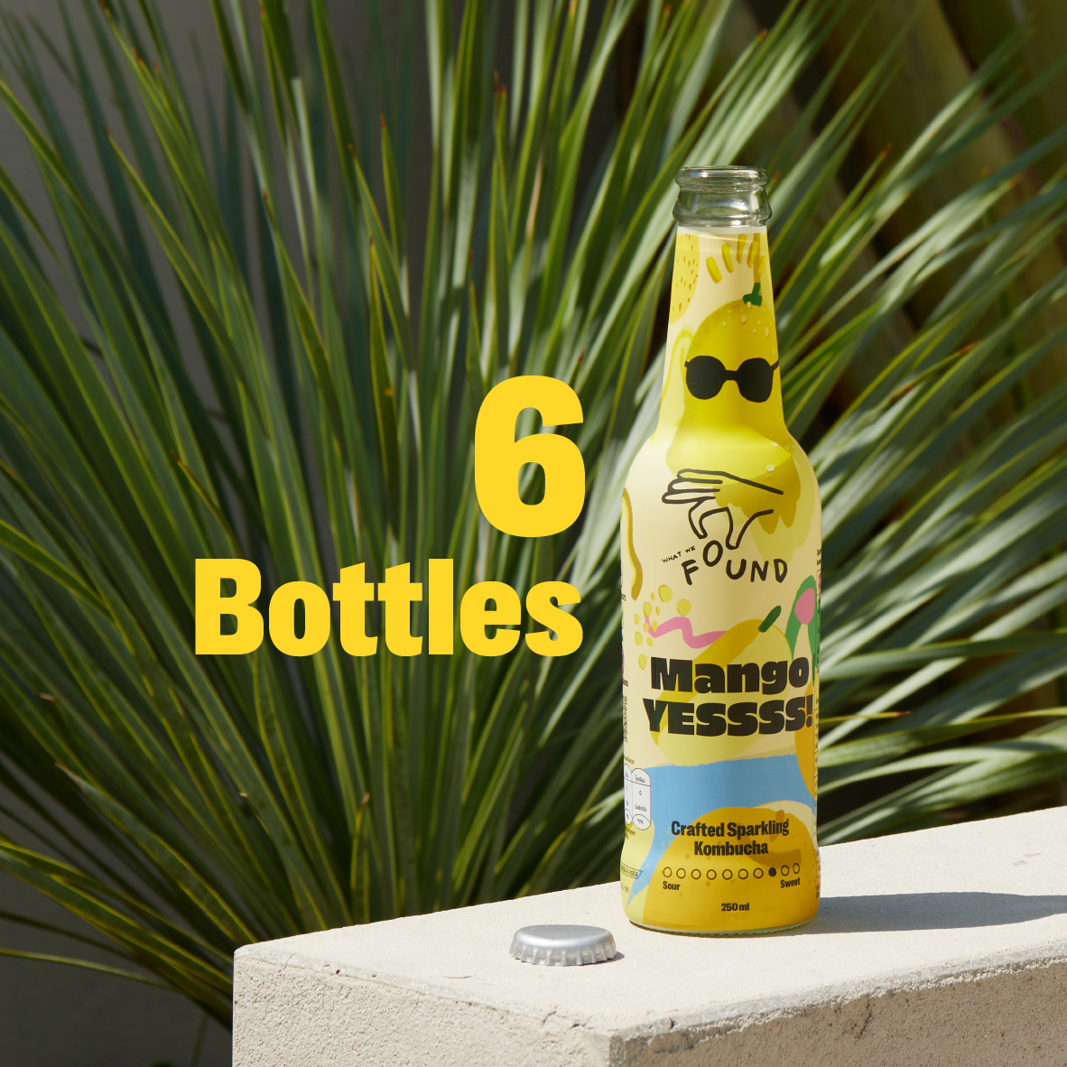 Mango Yessss! เครื่องดื่มคอมบูชะ ชาเขียวผสมน้ำมะม่วงขิง ขนาด 250ml. [6 ขวด]