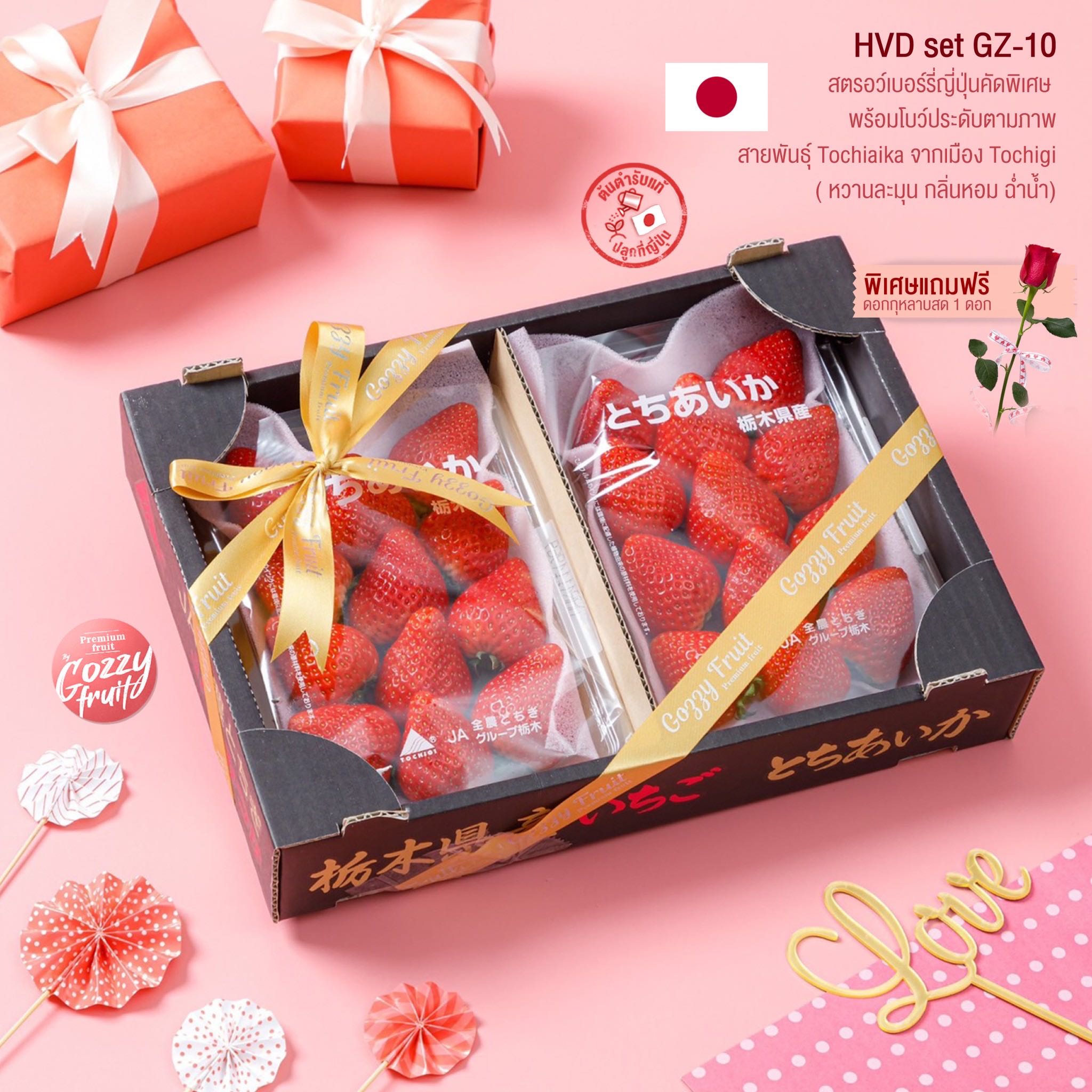 HVD set GZ-10  Tochiaika Strawberry วาเลนไทน์ 
