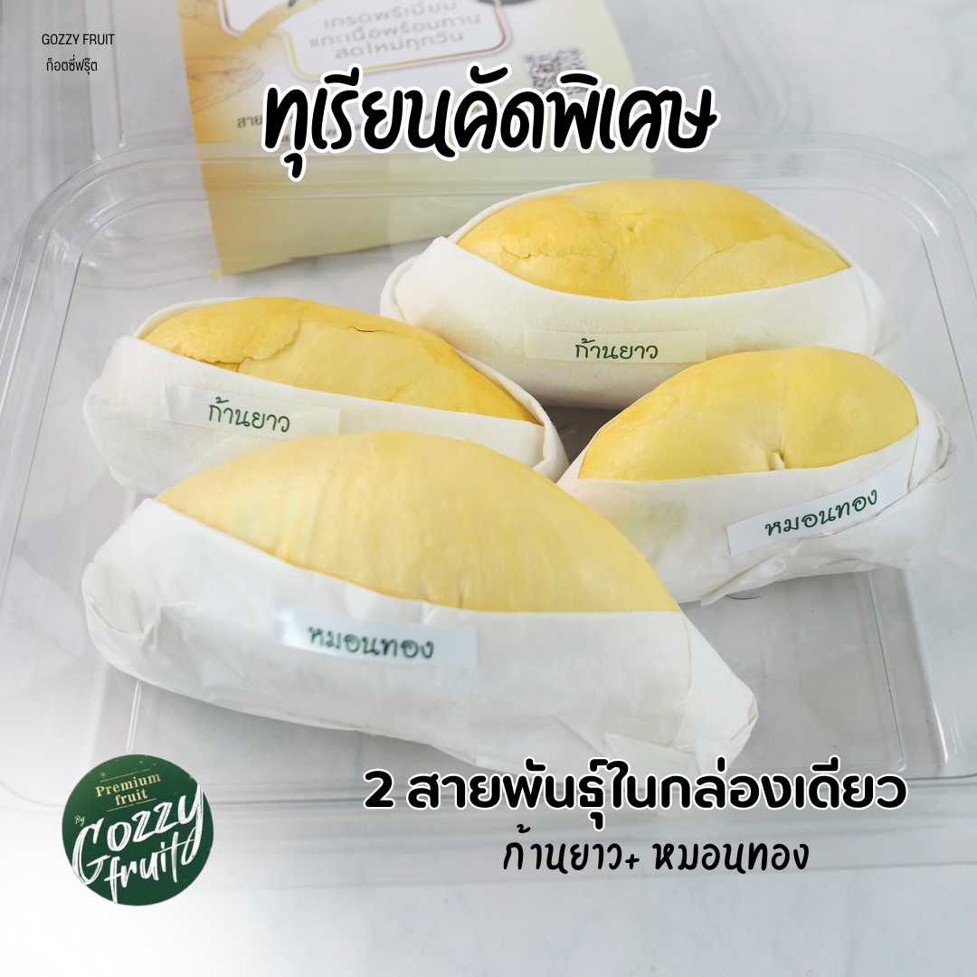 ทุเรียน 2 สายพันธุ์ในกล่องเดียว คัดพิเศษ(หมอนทอง+ก้านยาว)