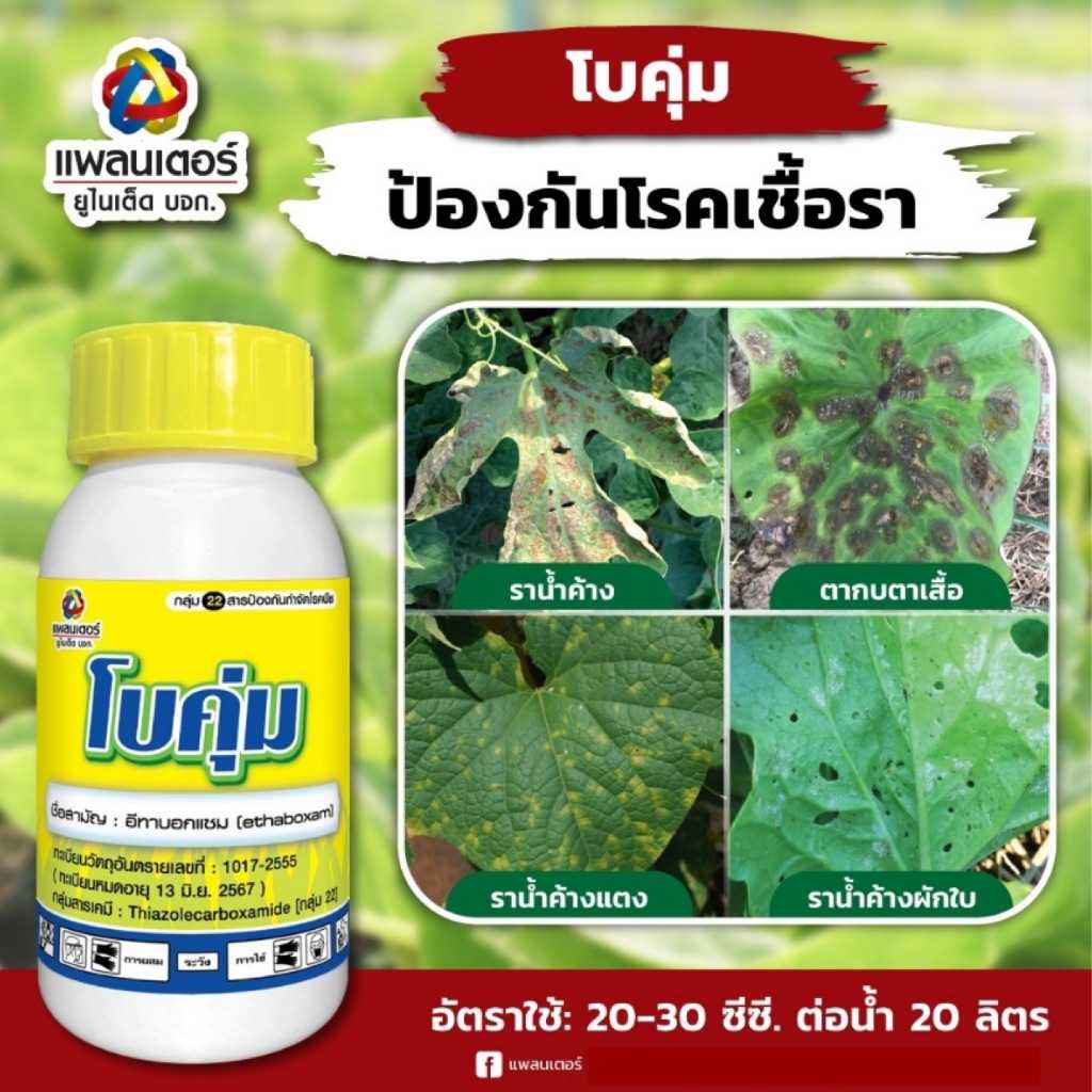 โบคุ่ม ขนาด 500 ซีซี ชื่อสามัญ : อีทาบอกแซม (Ethaboxam)10.4%