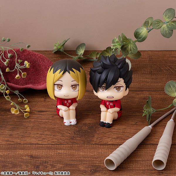 [PreOrder] Look up Haikyuu!! Kuroo/Kenma