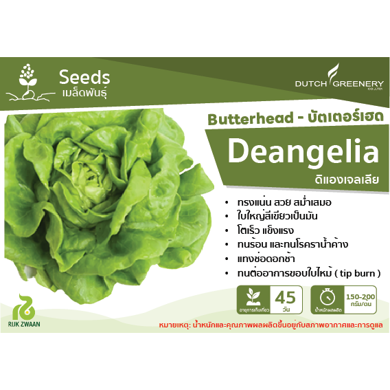 Butterhead - Deangelia RZ