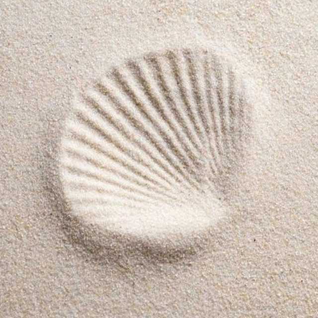 An Image