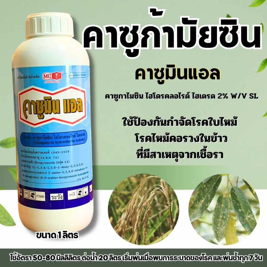คาซูมินแอล 1 ลิตร (คาซูกาไมซิน) ป้องกันเชื้อราโรคไหม้และแบคทีเรีย