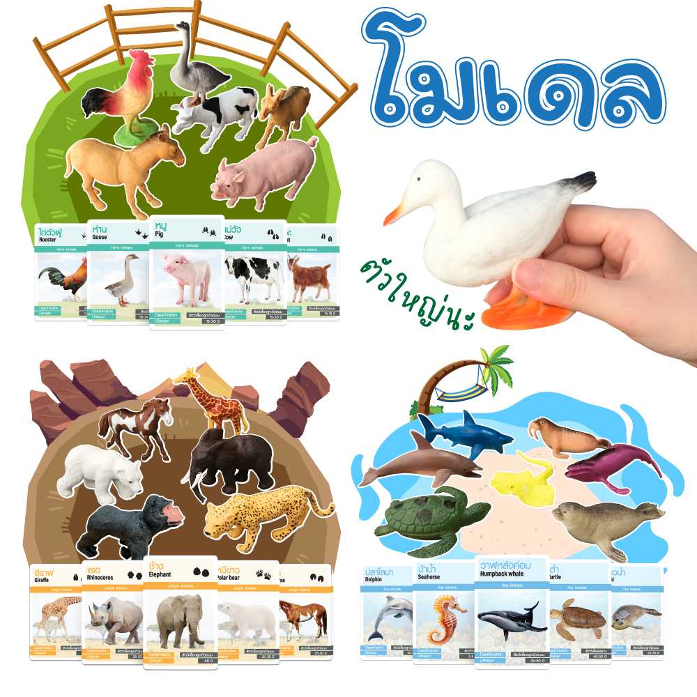 โมเดลสัตว์ พร้อมการ์ดกิจกรรม
