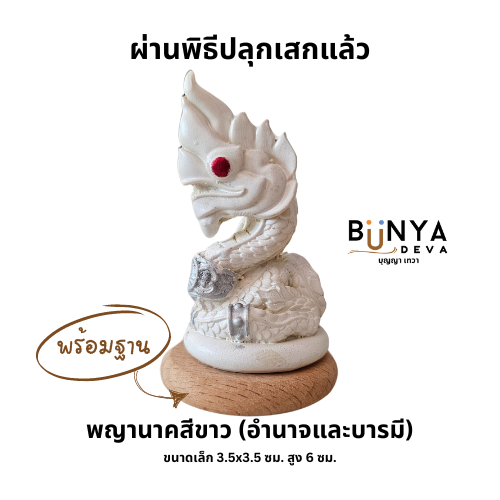 BUNYA พญานาคสีขาวขนาดเล็ก ผ่านพิธีปลุกเสกแล้ว