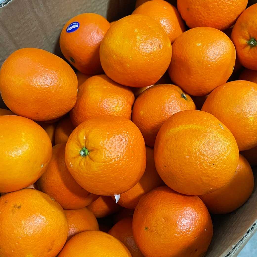 ส้มซันคิส Orange Sunkist (1 BOX 14kg )
