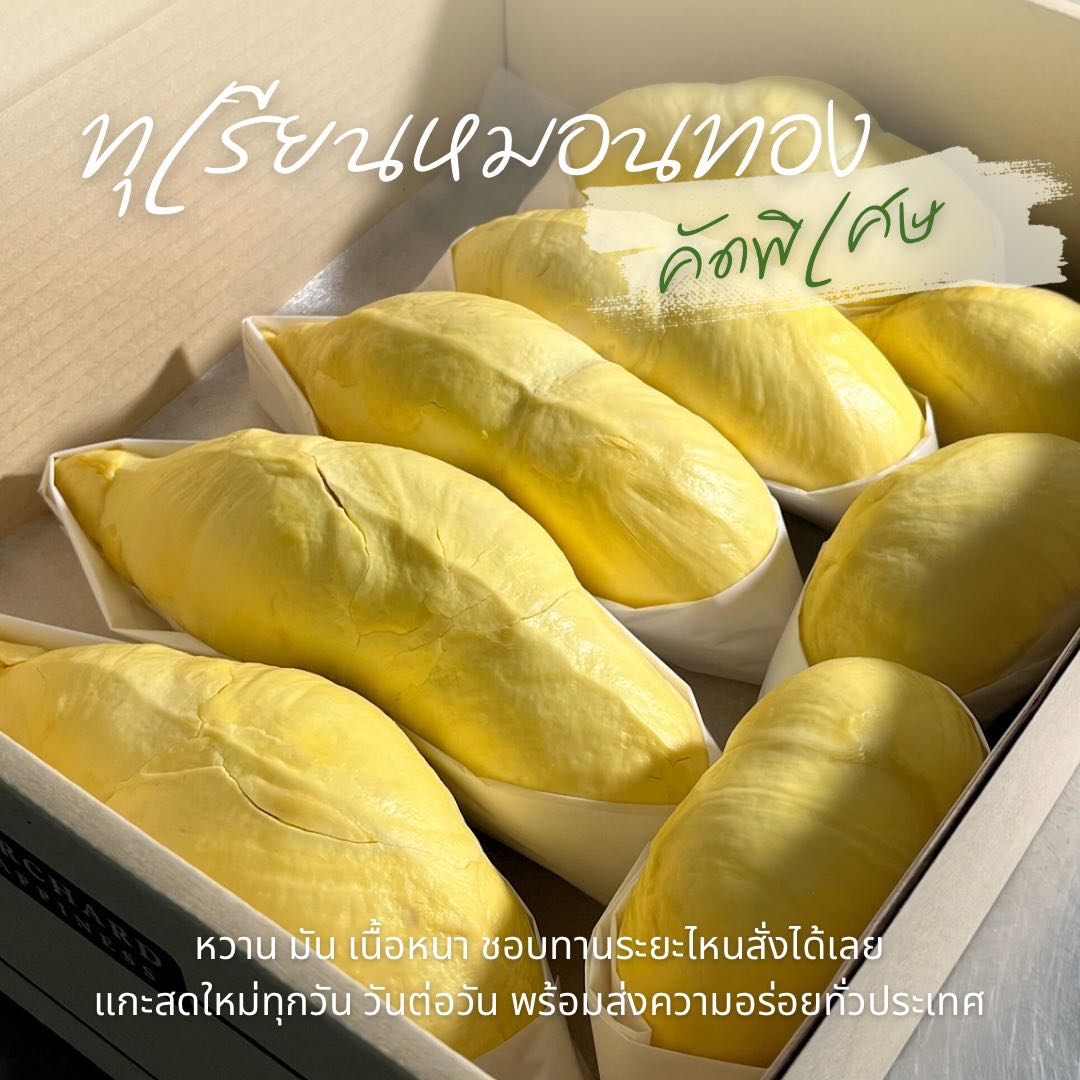 ทุเรียนหมอนทองคัดพิเศษ  จ. จันทบุรี