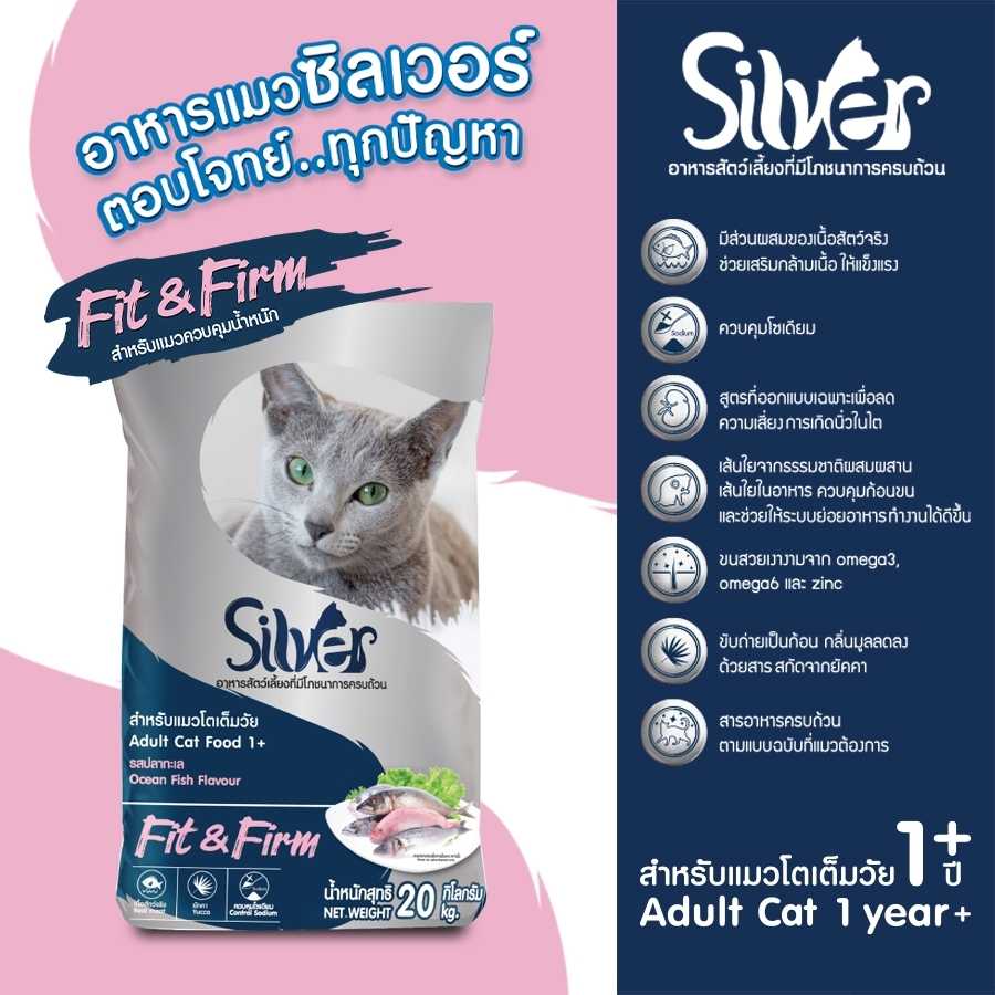 แพ็คย่อย 1 กก | Silver Fit & Firm  1 กก. x 20 ถุง (20 KG) แถม พัดลมมือถือ