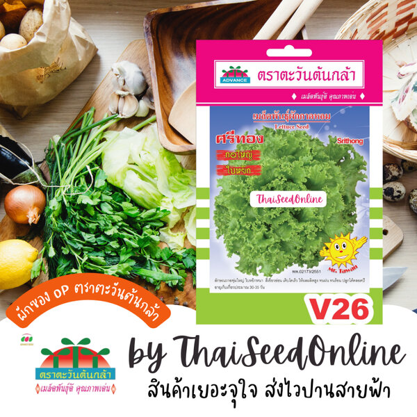Advance Seeds(ตราตะวันต้นกล้า) ADVOP ซฟ เมล็ดพันธุ์ ผักกาดหอม ศรีทอง ประมาณ 970 เมล็ด ตราตะวันต้น...