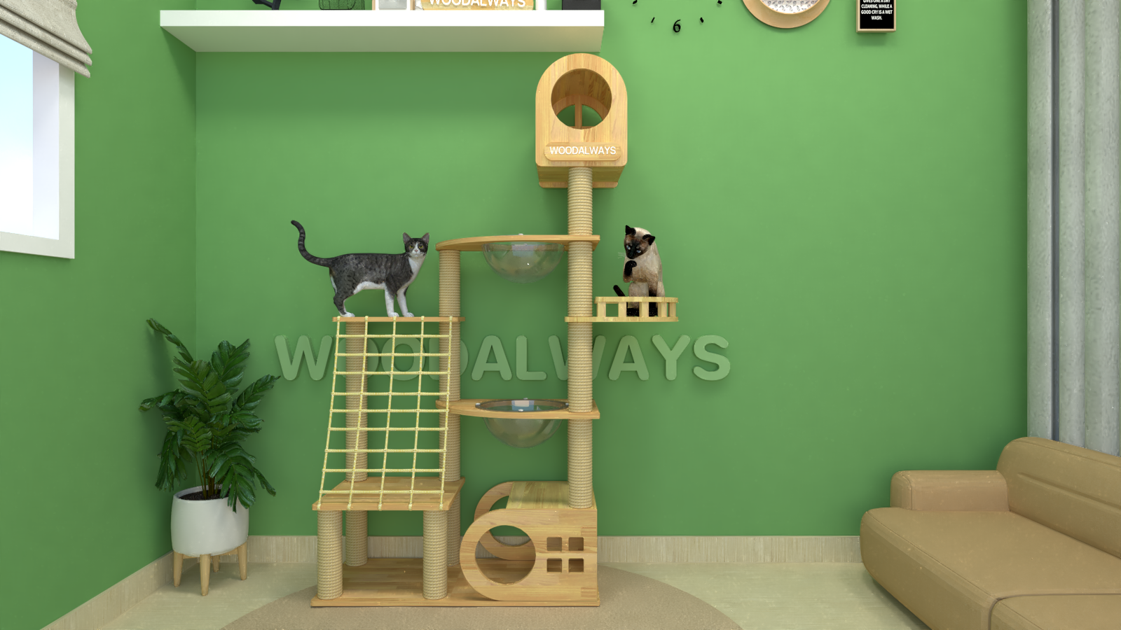 คอนโดแมว | Catcondo-20
