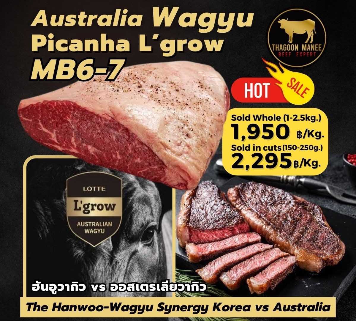 Hunwoo L‘grow picanha mb6-7