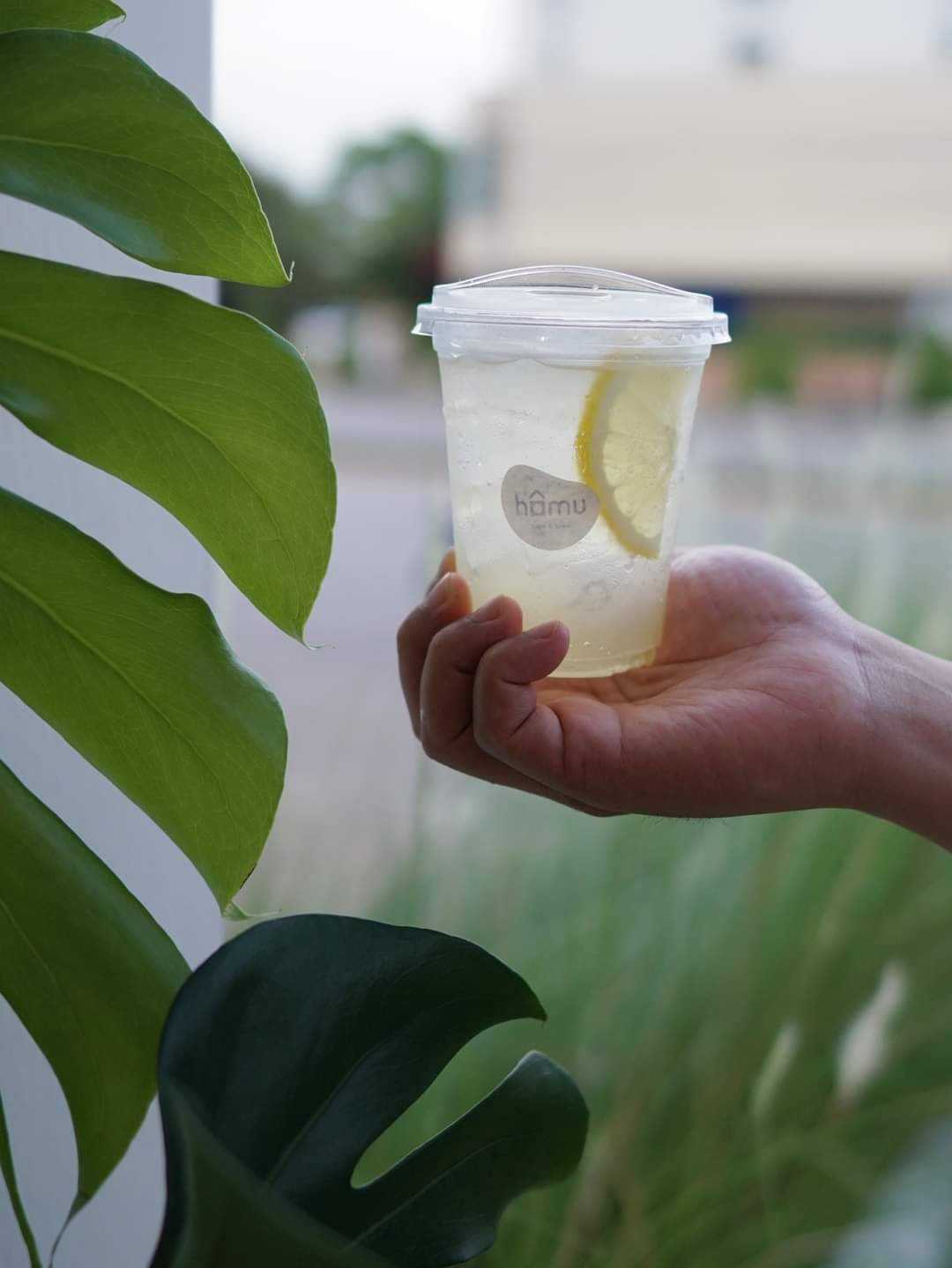 ไอซ์ ฟิซซี่ เลม่อน / Iced Fizzy Lemon