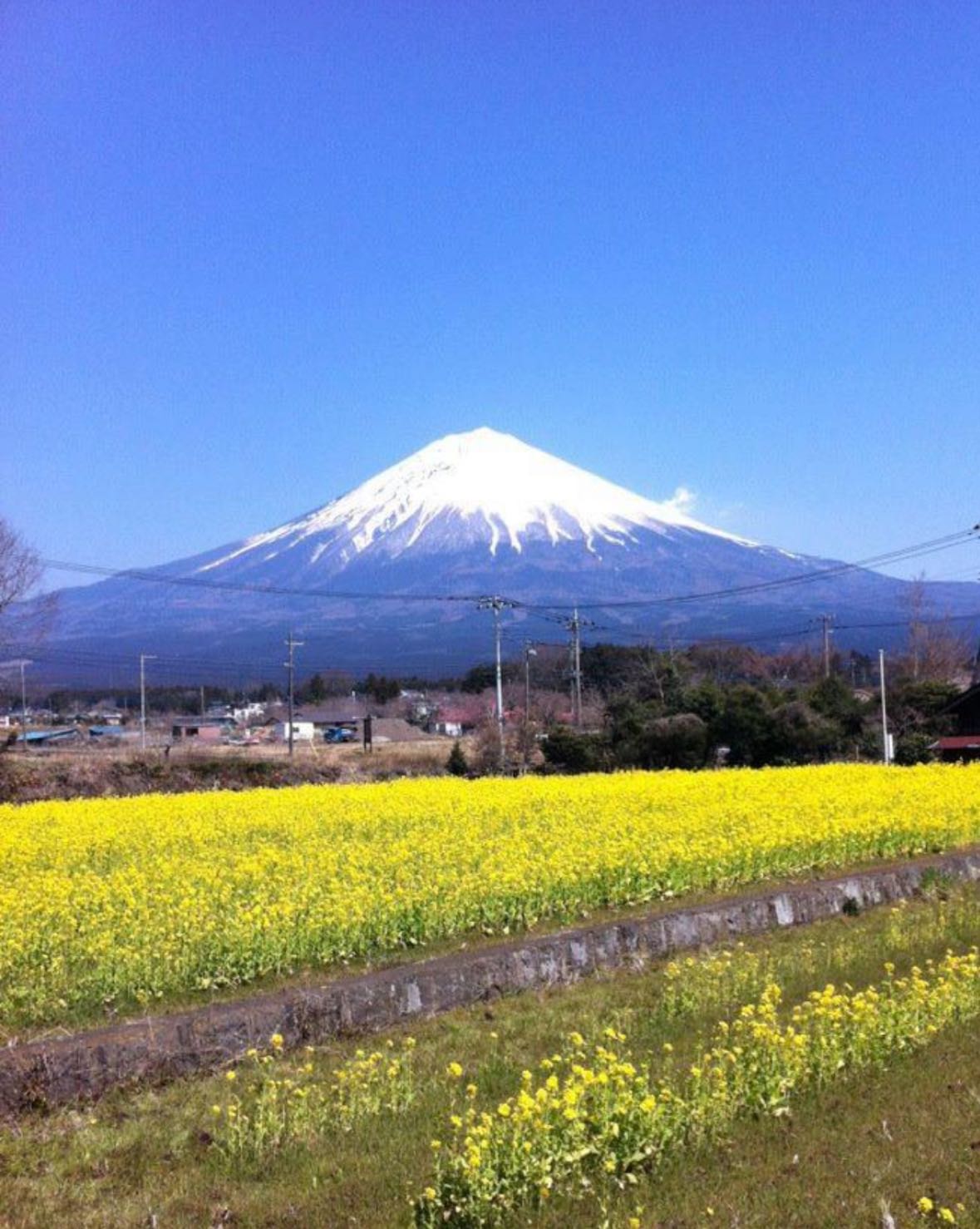 An Image