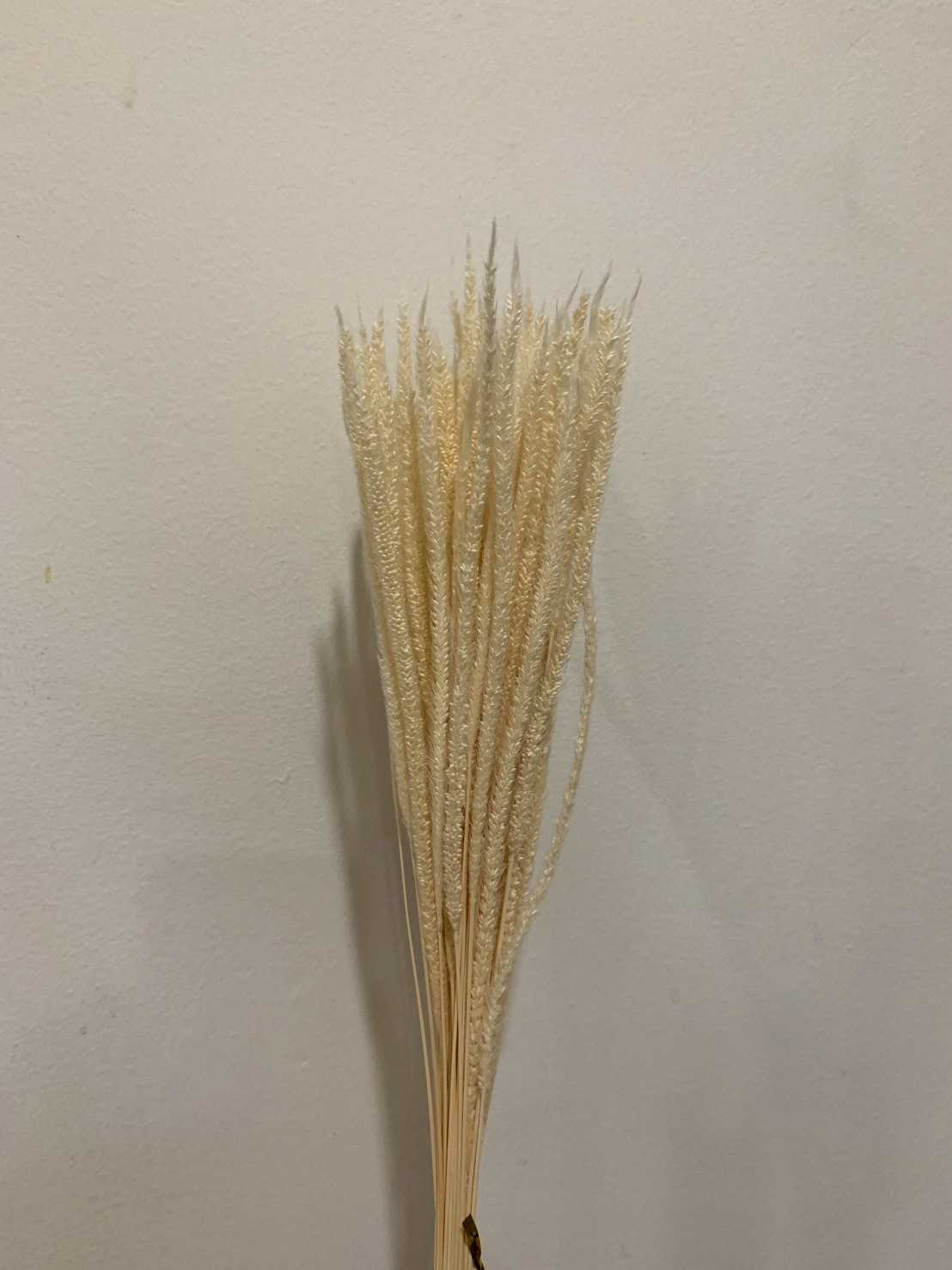 หญ้าคิรินแห้ง (Dried Kirin Grass)