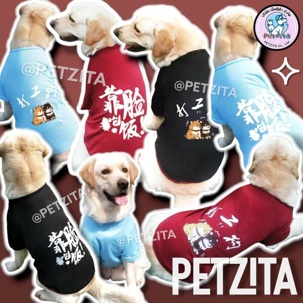 🇹🇭พร้อมส่ง🇹🇭💕🌈🦮 BIG SIZE เสื้อแฟชั่น หมาใหญ่ สุนัขพันธุ์กลาง ถึง สุนัขพันธุ์ใหญ่