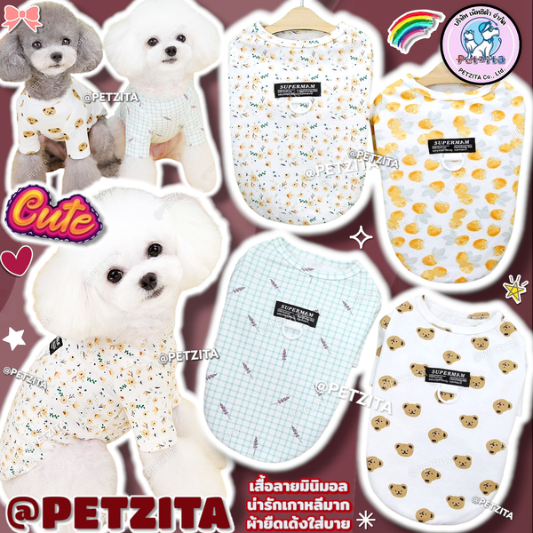 🇹🇭พร้อมส่ง🇹🇭🌈 💥SALE !!! เสื้อสัตว์เลี้ยง ลายมินิมอลสไตล์เกาหลีสุดน่ารักสดใส ✨️ เสื้อสุนัข ...