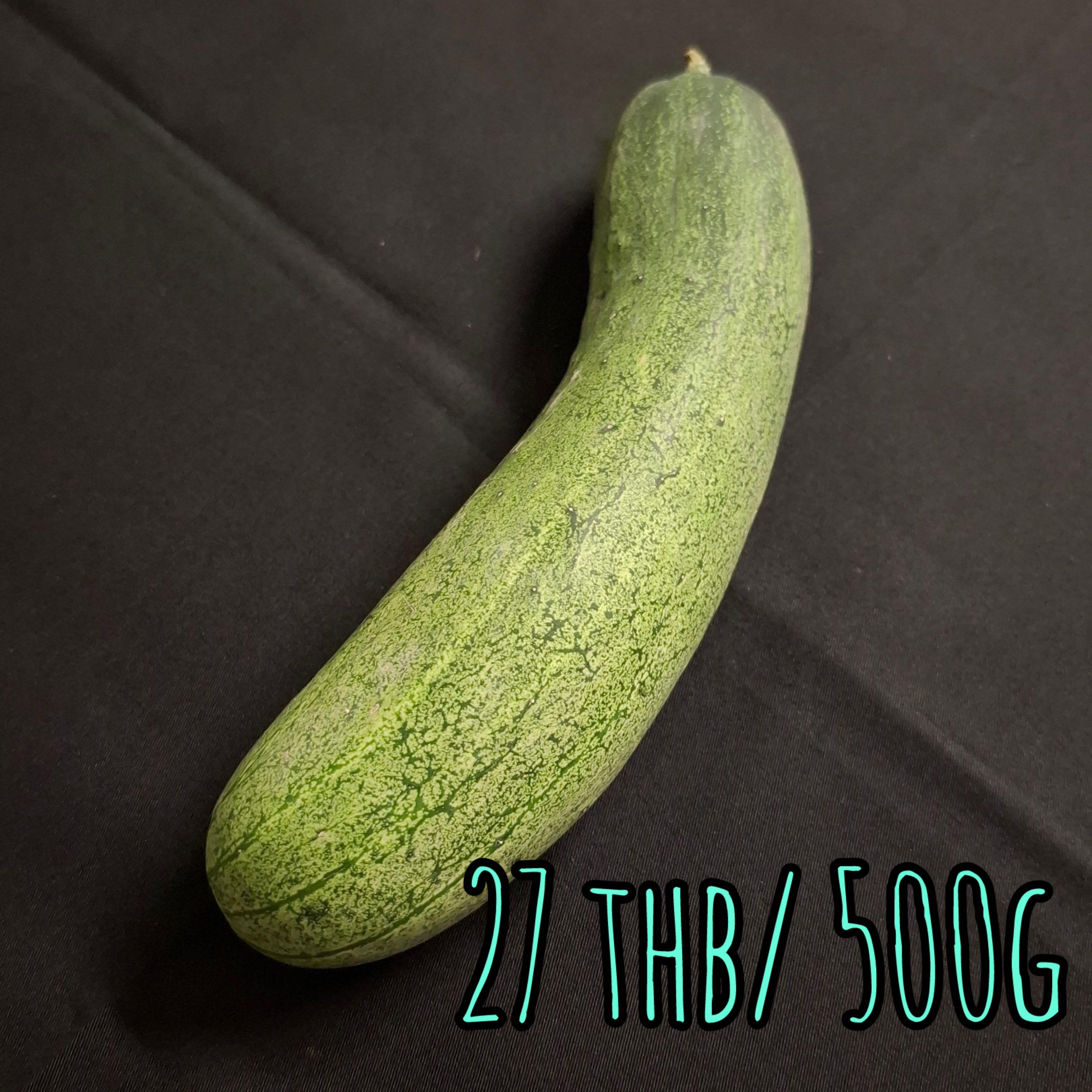 Large Cucumber  大きなキュウリ  แตงร้าน