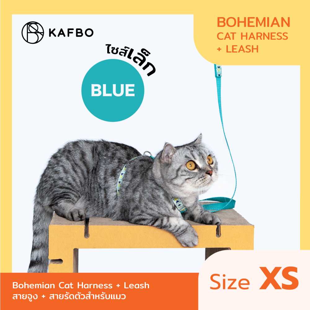 Cat Harness + Leash (XS) - Bohemian Blue