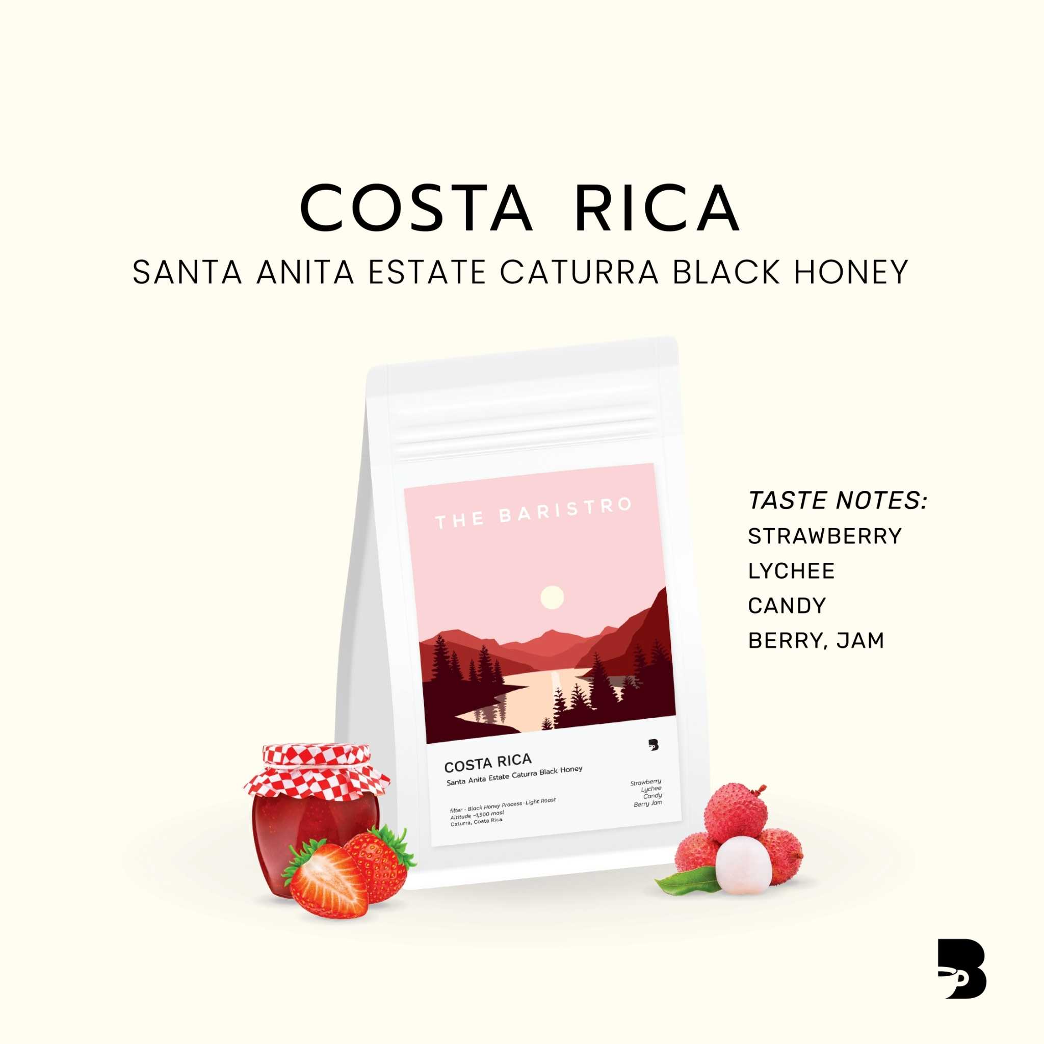 เมล็ดกาแฟ คั่วอ่อน - Costa Rica Santa Anita Estate Catarra Black Honey