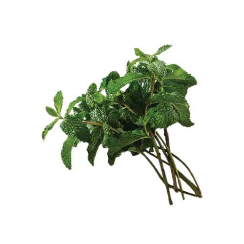 FG04009 สะระแหน่ Mint ( 100g )