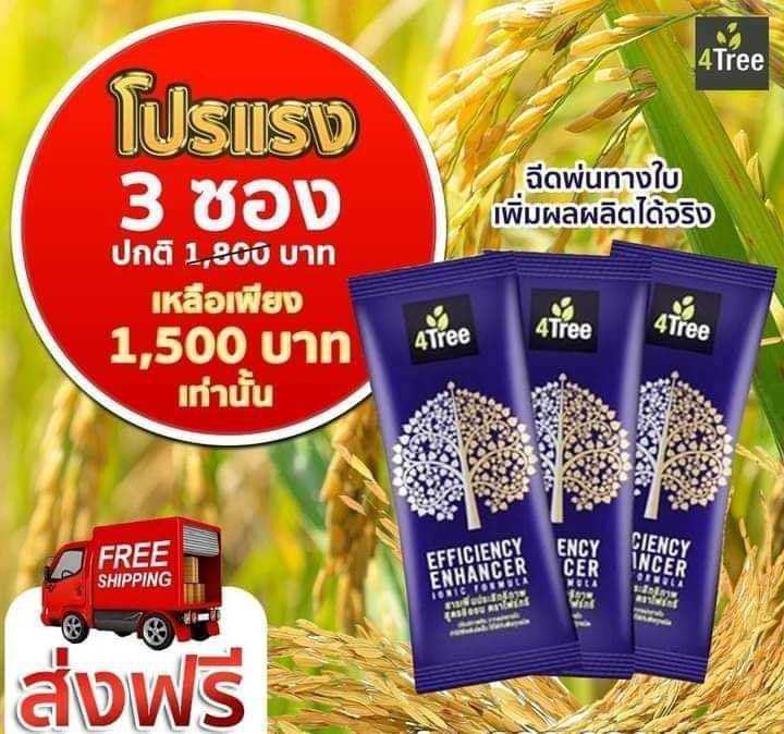 4Tree 3 ซอง