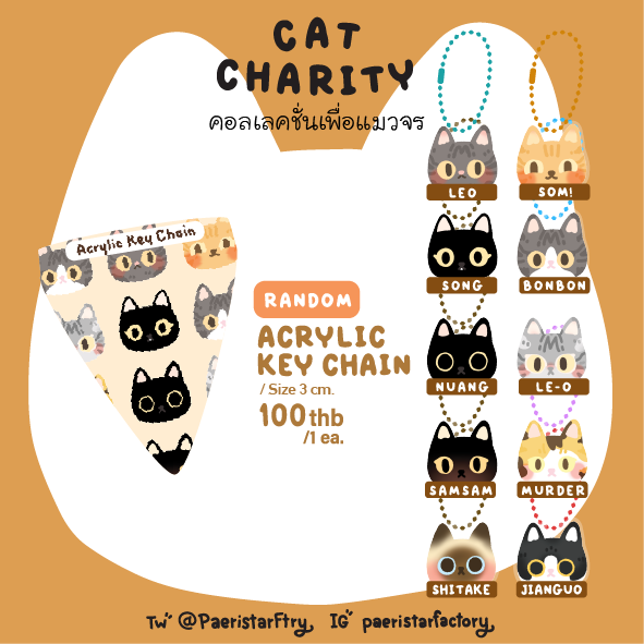 Acrylic Key Chain Cat Charity 3 cm.