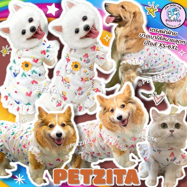 🇹🇭พร้อมส่ง🇹🇭 มีไซส์XS-6XL เดรสผ้าฝ้ายโปร่งบางเบาใส่สบาย for pet สุนัข แมว หมาอ้วน หมาใหญ่ สุน...