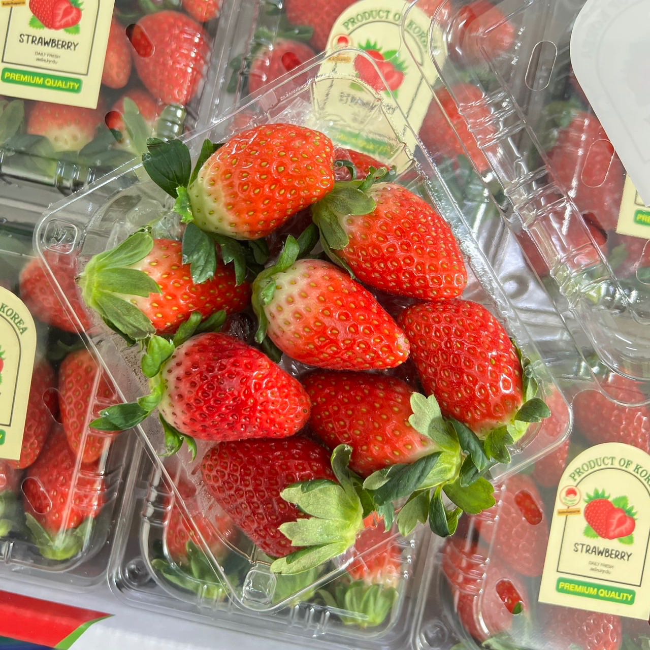 สตอว์เบอร์รี่เกาหลี (Strawberries Korea 250g.)