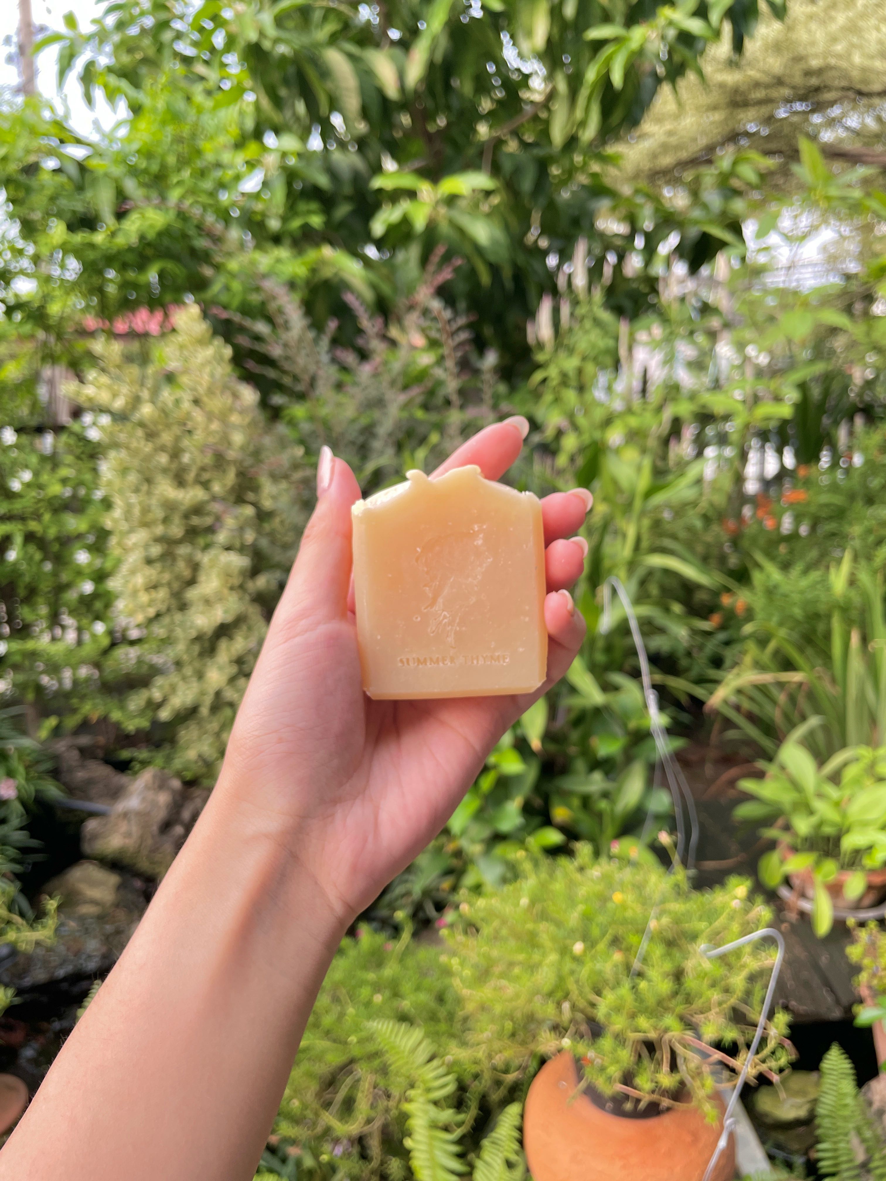 💙Mint Wood Glow – Cooling Herbal Soap❄️🌿🌲