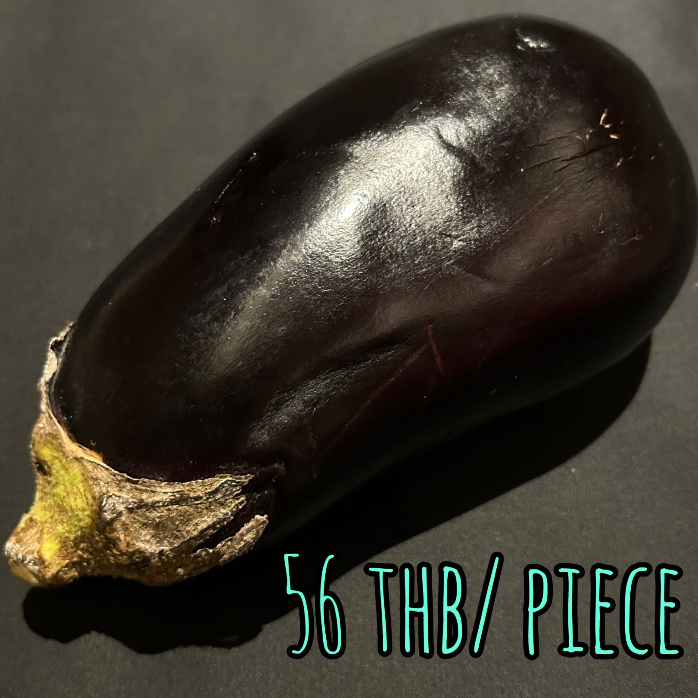 Giant Purple Eggplant 大きいナス 큰 가지 มะเขือม่วงยักษ์