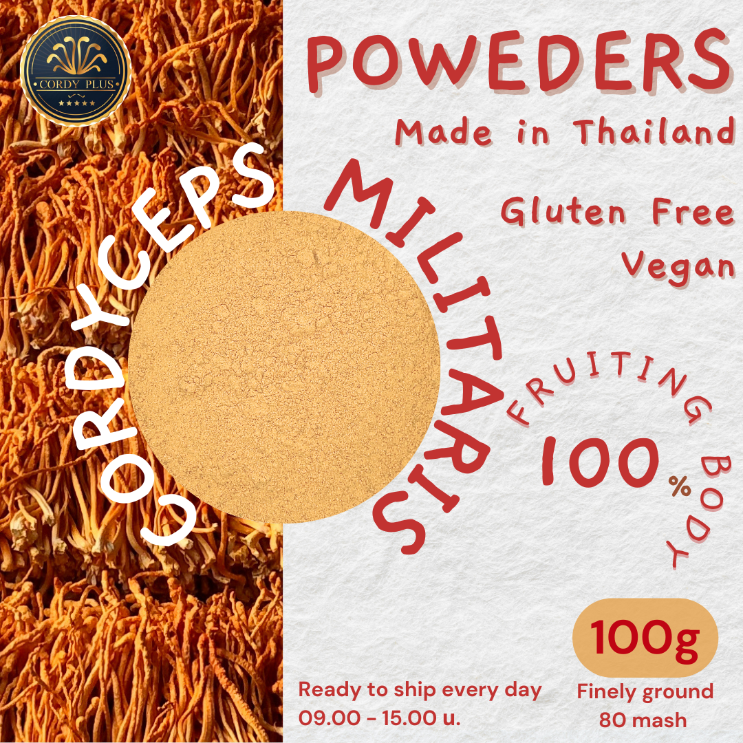 Cordycep militaris (Fruiting Body)Powders ผงดอกถั่งเช่าสีทอง 100g
