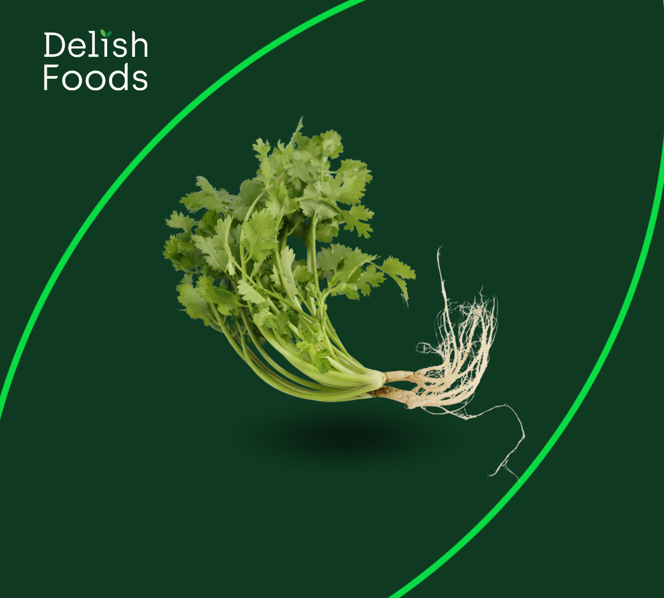 FG22048 ออร์แกนิค ผักชี Organic Coriander (100g)