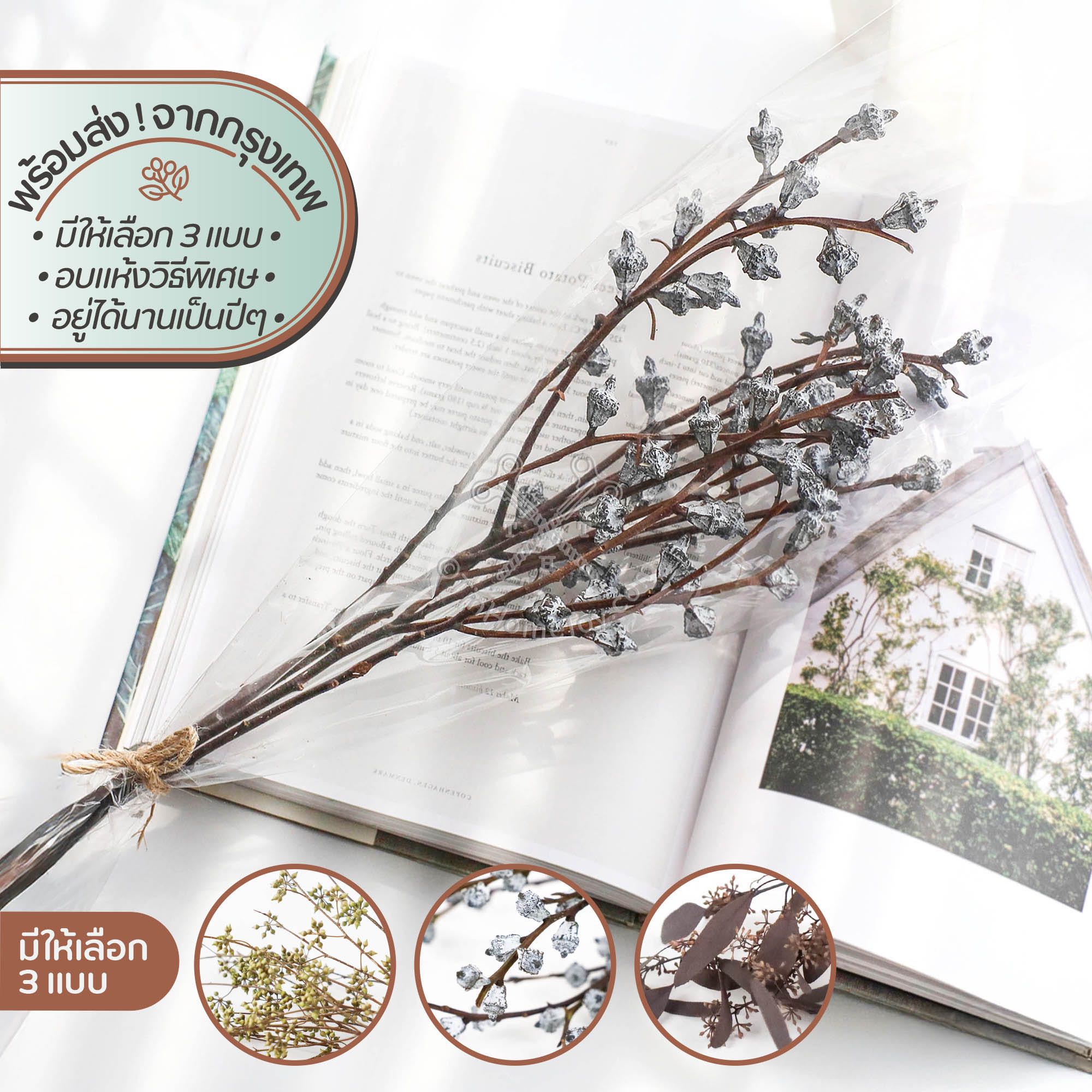 ดรายด์ซีดบูเก้ ช่อลูกไม้อบแห้ง | Dried Seed Bouquet
