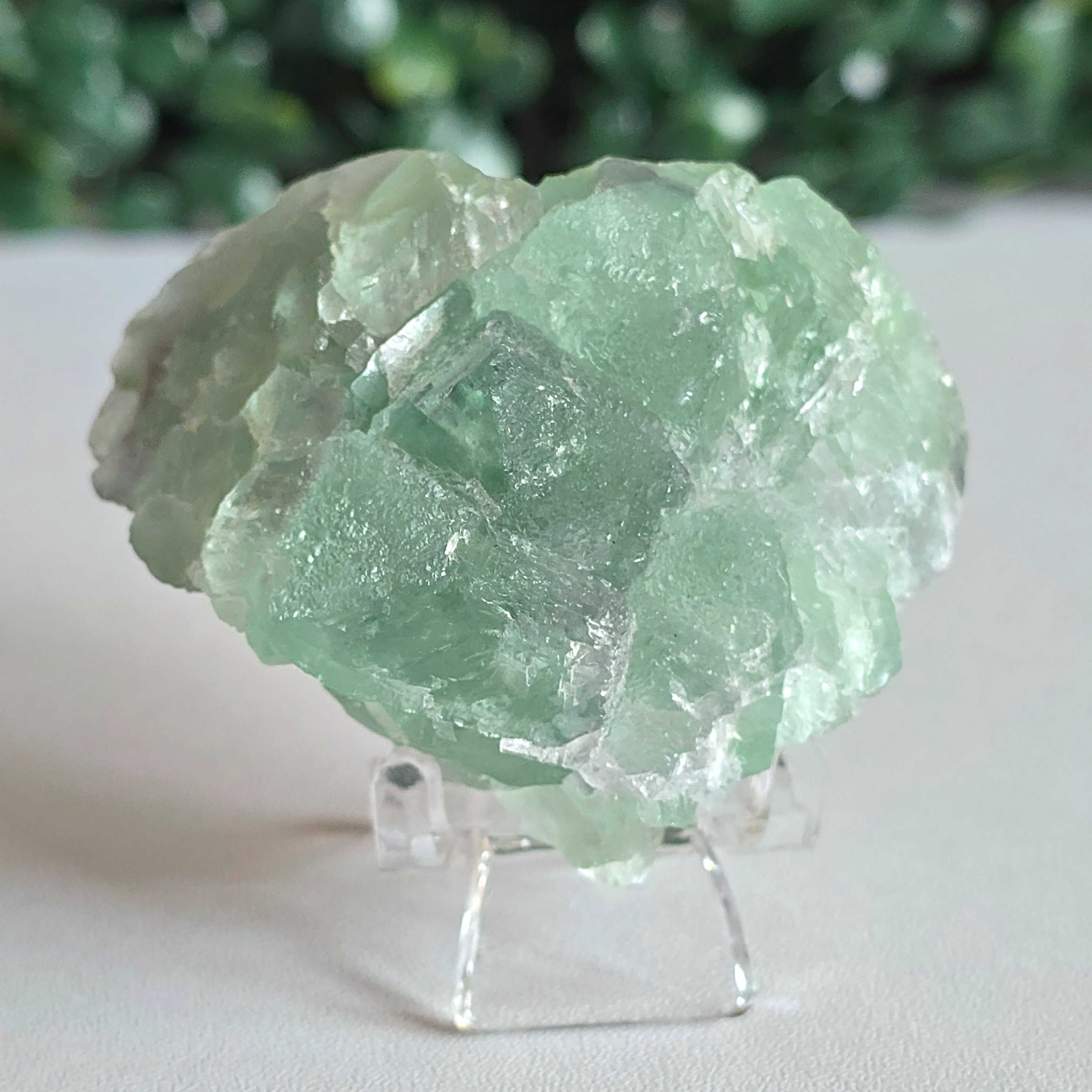 Raw Fluorite no.2