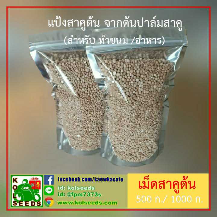 แป้งสาคูต้น บริสุทธิ์ 100% ของแท้จากพัทลุง ทำขนมอร่อย เหนียวหนึบ #HF# #HI#