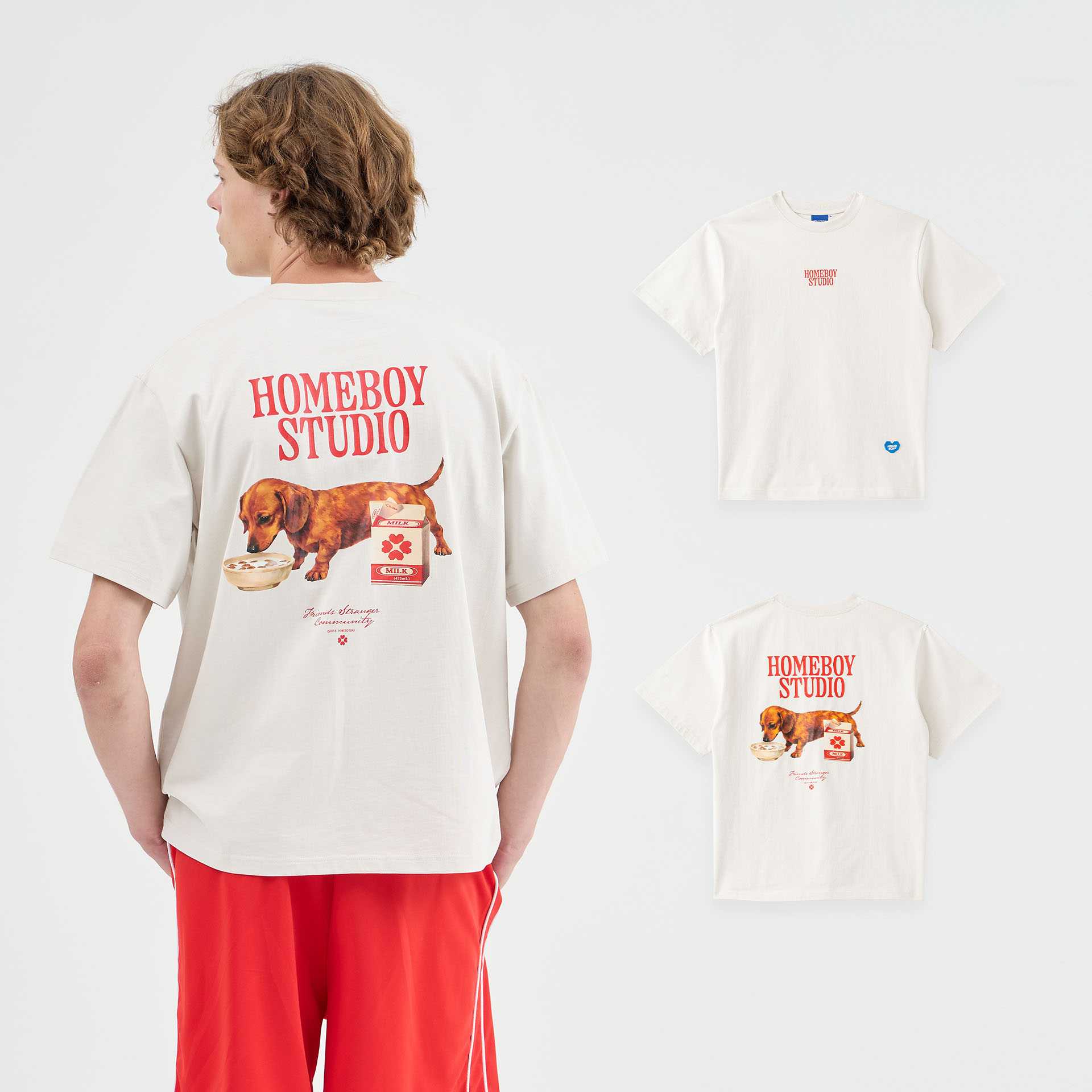HB.DACHSHUND.PUPPY