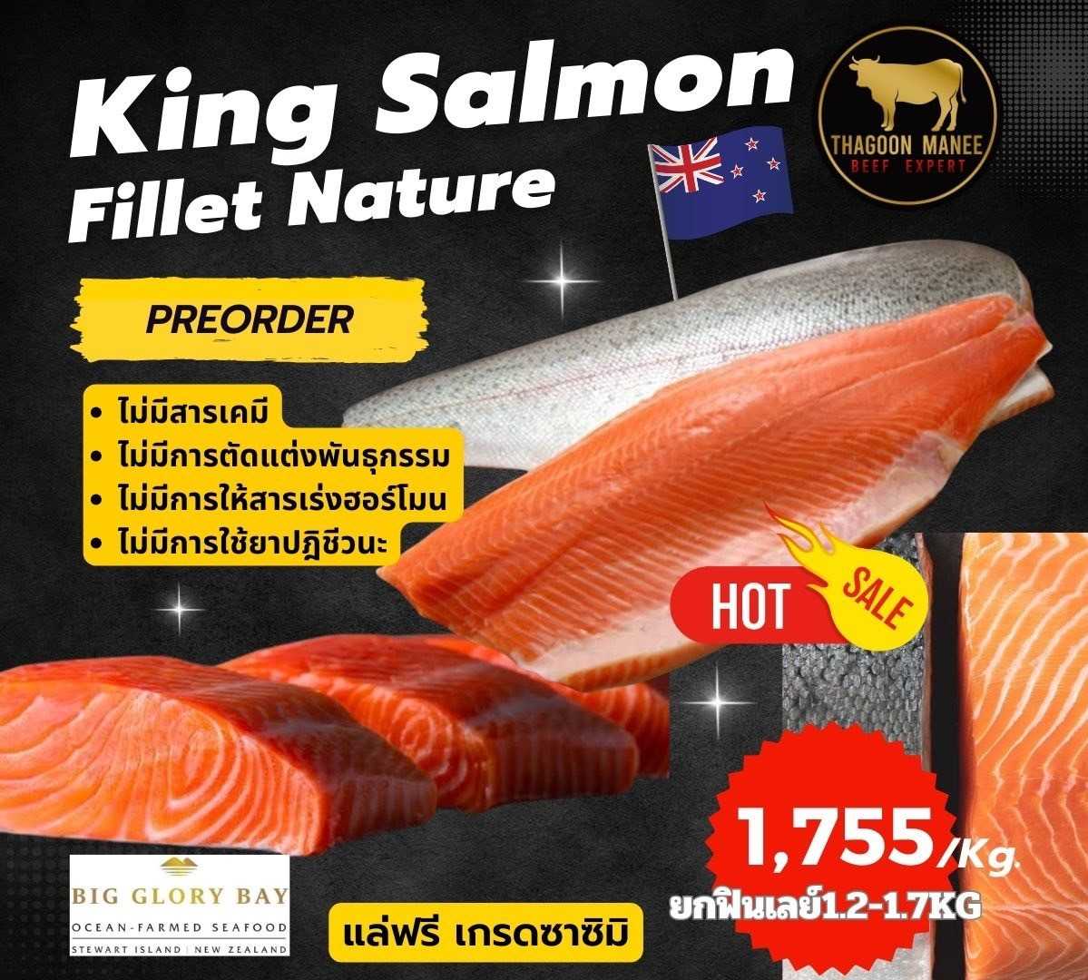 King Salmon Fillet Nature
