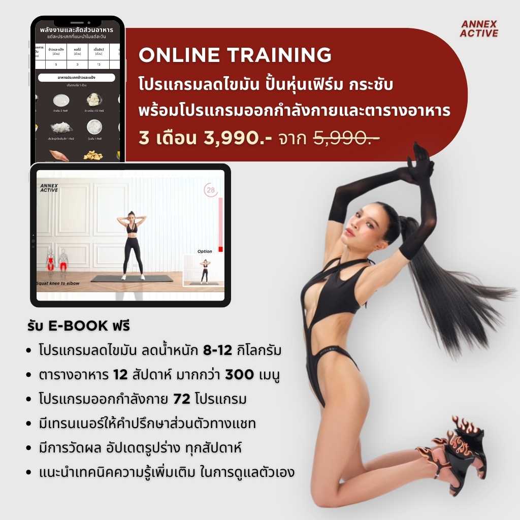 รับโปรแกรม 3 เดือน ANNEX ACTIVE ONLINE TRAINING COURSE