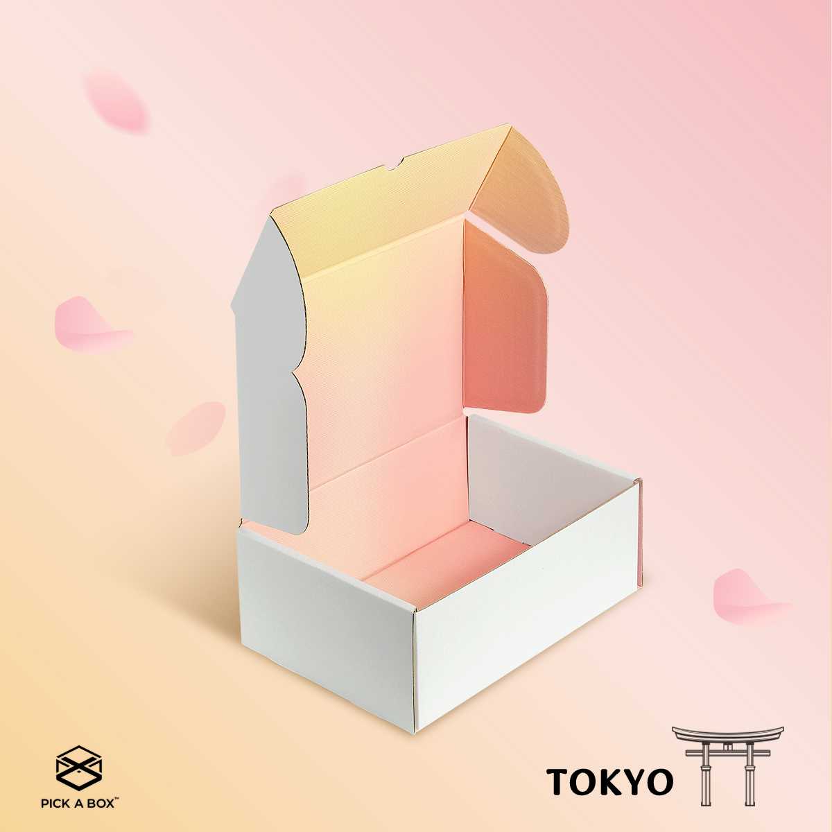 กล่อง Tokyo Box - 10 ใบ : กล่องพัสดุ กล่องกระดาษ กล่องพรีเมี่ยม