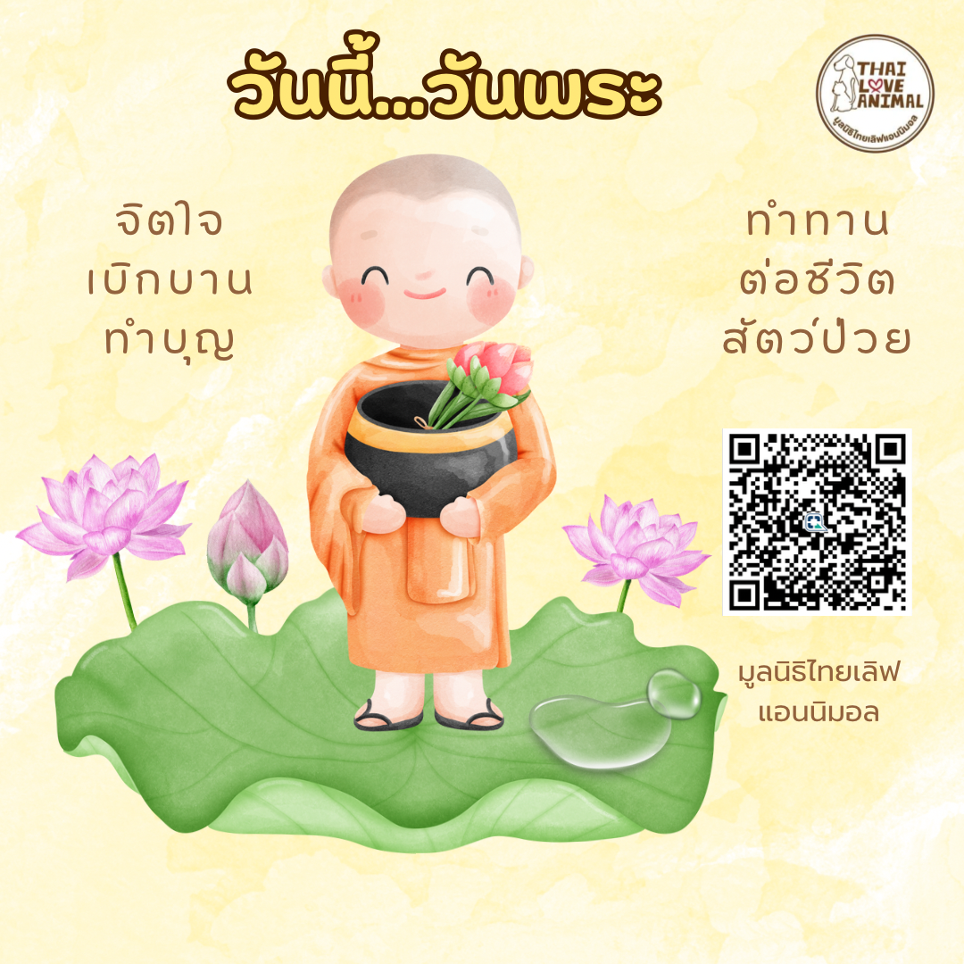 ทำบุญวันพระ ช่วยค่ารักษาสัตว์เจ็บป่วย