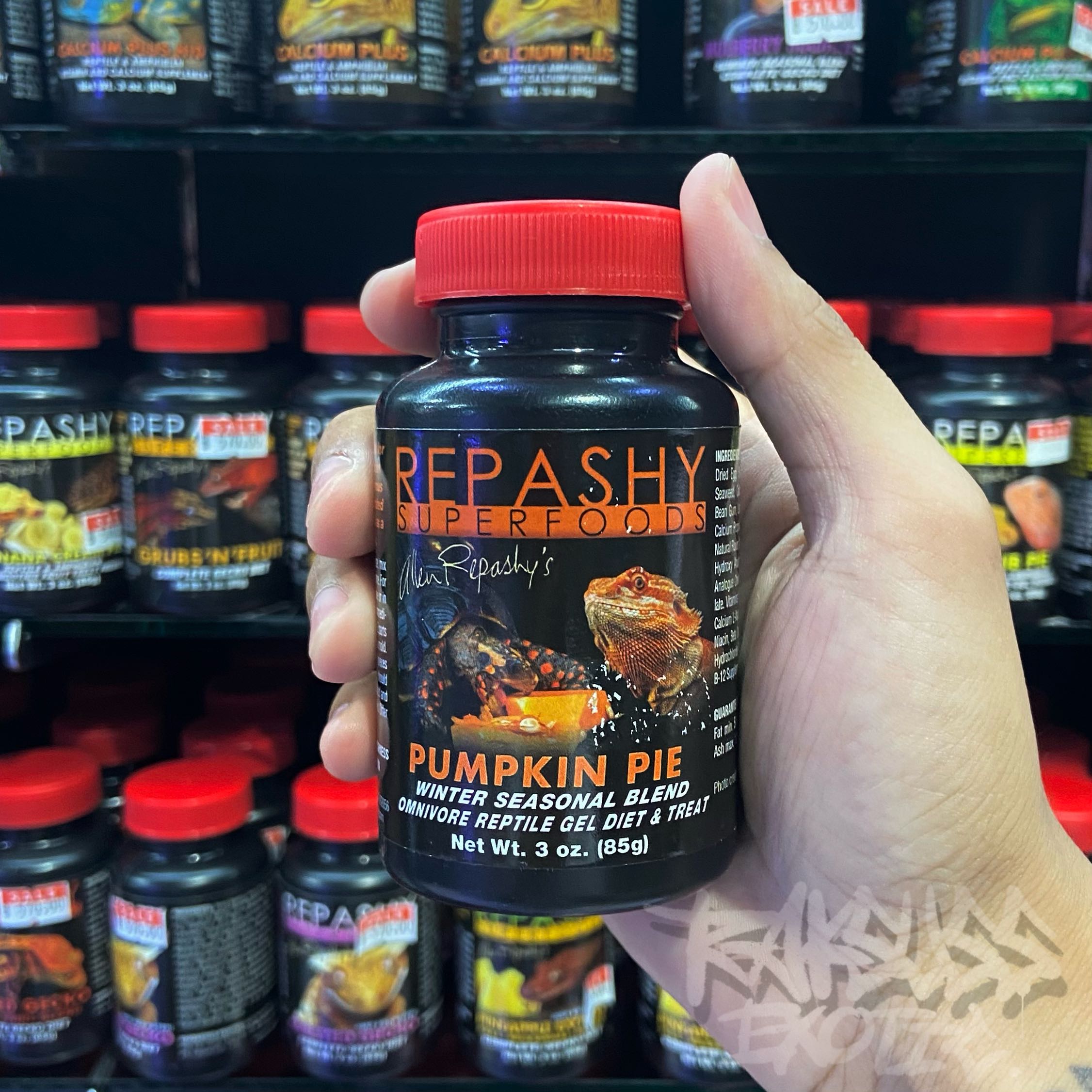 Repashy Pumpkin Pie Winter Seasonal Blend Omnivore Reptile Gel Diet & Treat Net Wt. 3oz. (85g)