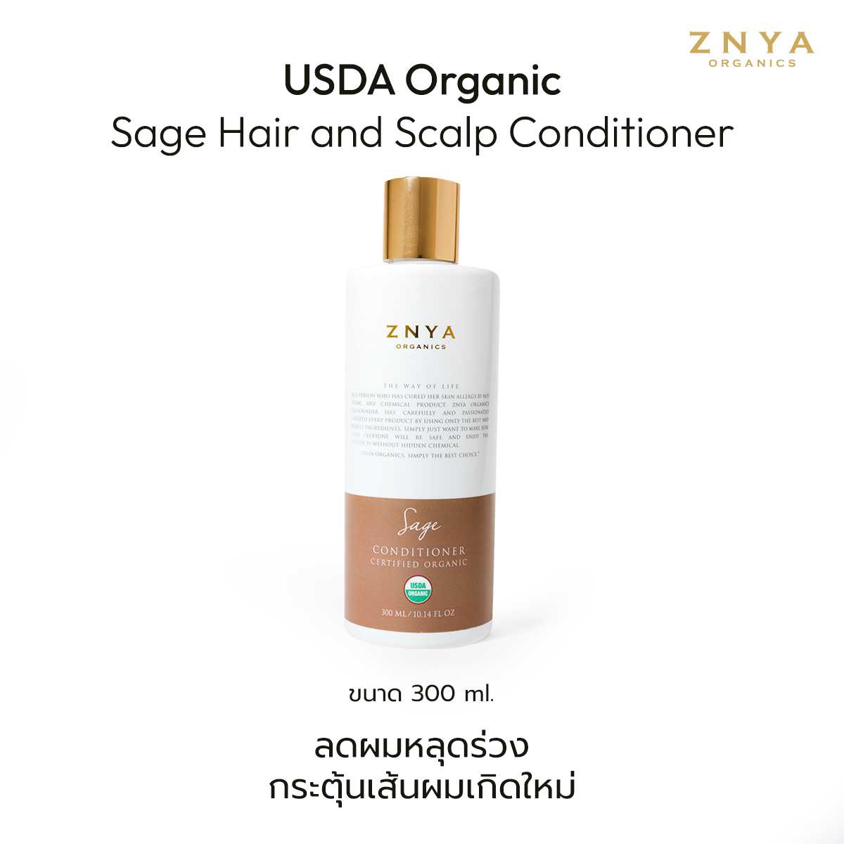 เสจแฮร์คอนดิชันเนอร์ออร์แกนิก USDA Organic Sage Hair & Scalp Conditioner