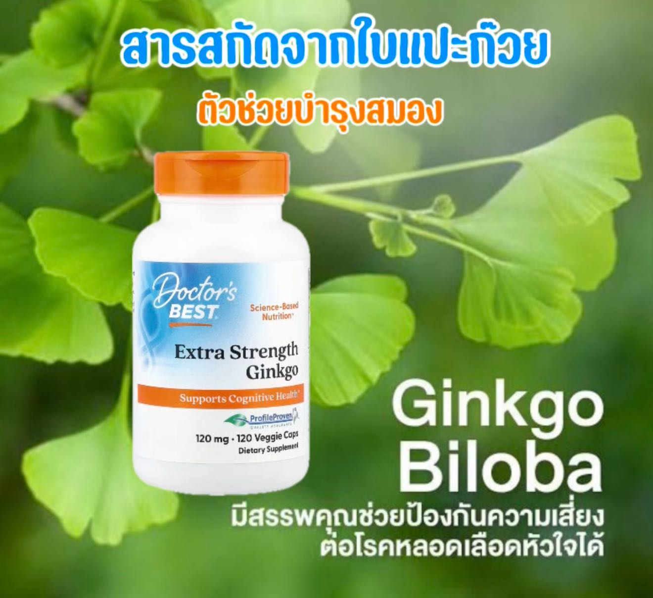 Doctor’s Best, Extra Strength Ginkgo, 120 mg, 120 Veggie Caps 