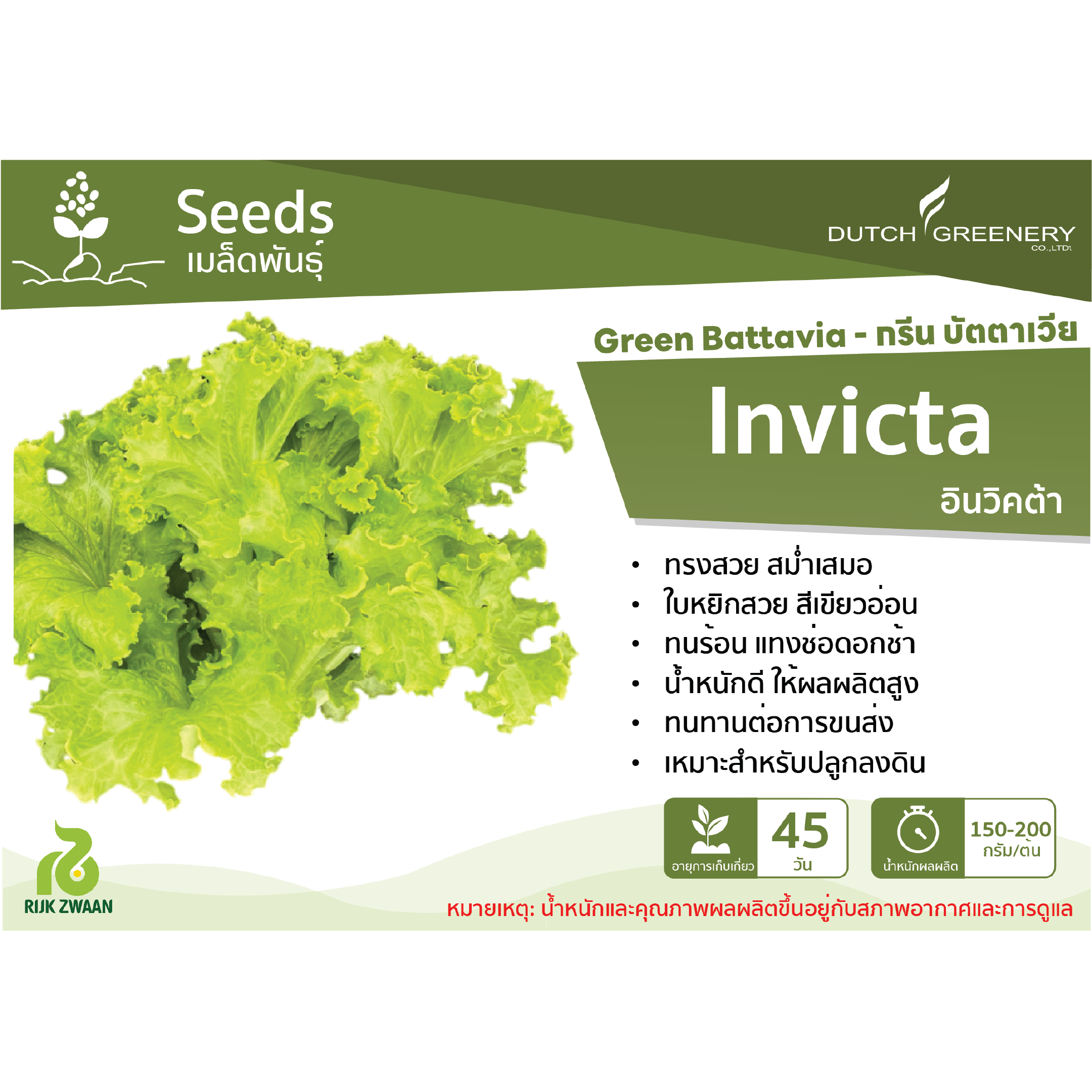 Green Batavia - Invicta RZ