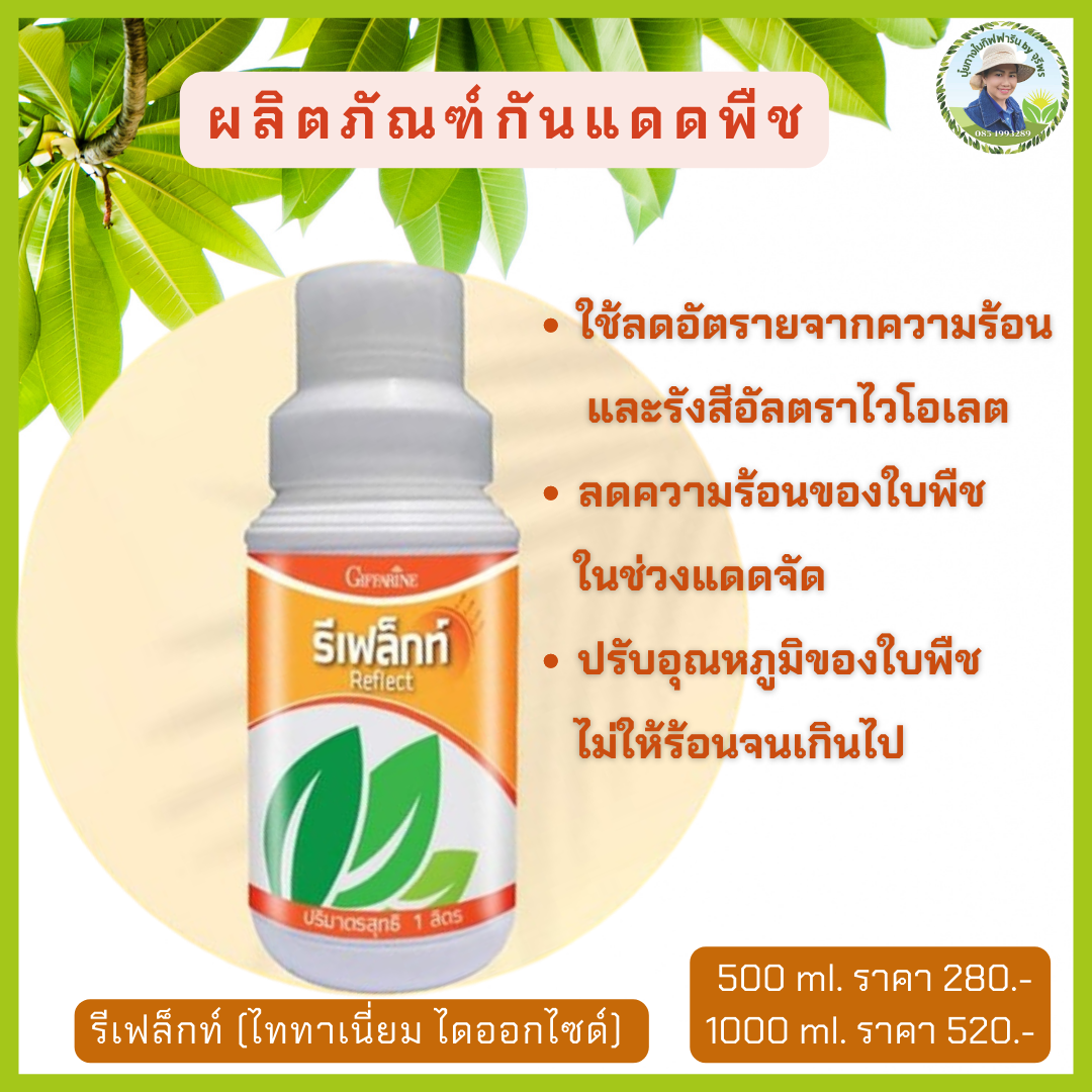 รีเฟล็กท์ Reflect สารกันแดดสำหรับพืช