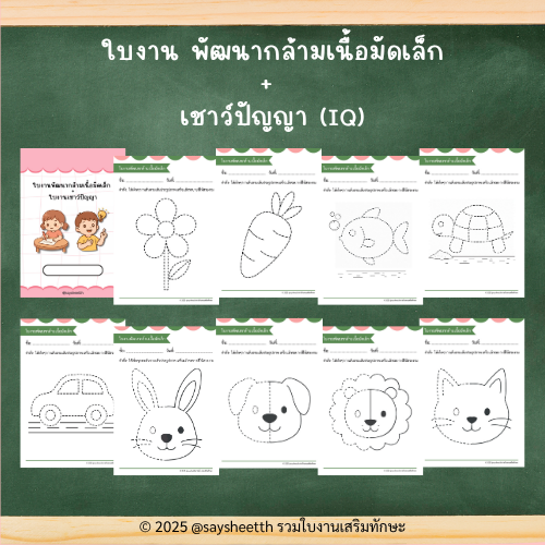 ชุดใบงาน พัฒนากล้ามเนื้อมัดเล็ก + เชาว์ปัญญา ไฟล์ PDF