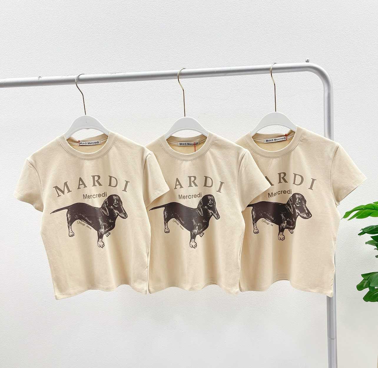 Mardi Ddanji Cropped T-Shirt (ฺBeige Taupe)