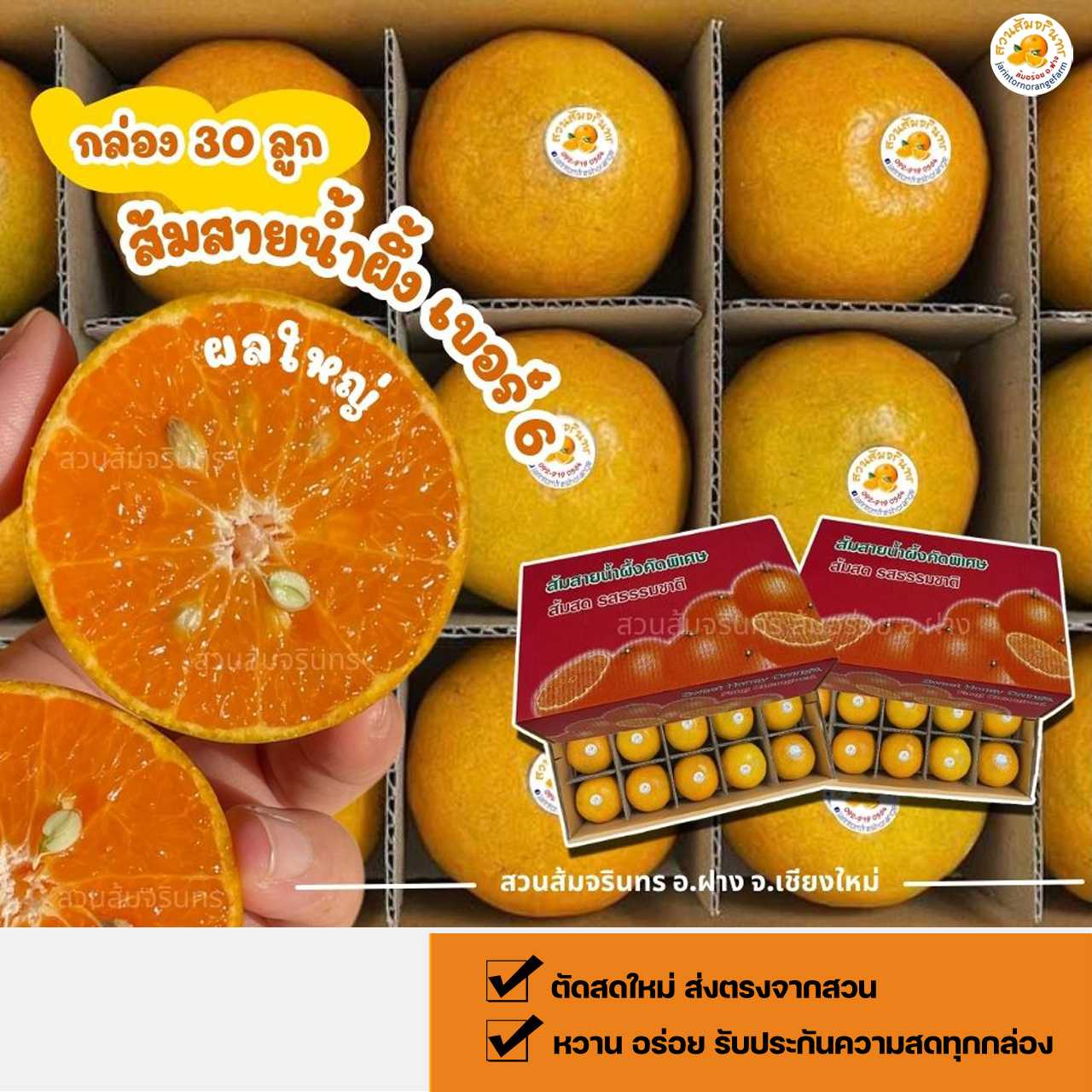 30 ลูก ส้มไซส์ใหญ่ เบอร์ 6  ส้มคัดพิเศษ ผิวสวย หวานอร่อย ชานนุ่ม ตัดสดใหม่ บรรจุกล่องแยกช่อง 2 ชั้น