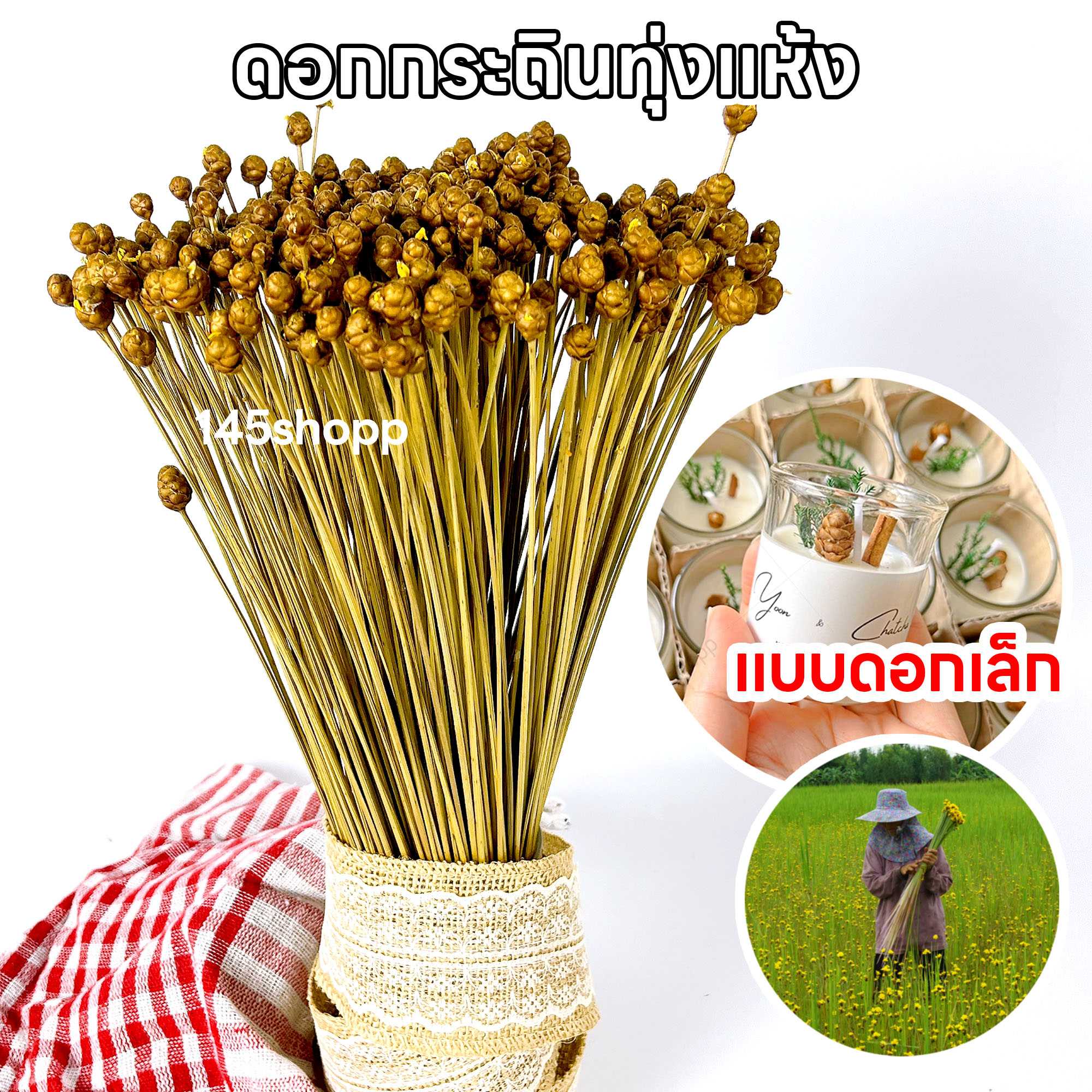 ดอกกระถินทุ่งแห้ง มัดใหญ่ ดอกไม้เเห้ง ดอกหญ้าแห้ง ใช้ทำเทียนหอม หรือพร้อพถ่ายรูป